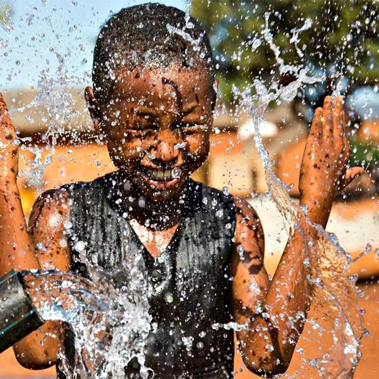 Agrivoltaics: The Dual-Benefit Solution Accelerating Europe’s Energy Decarbonisation